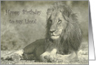 Happy birthday to my lio, drawing lion portrait card