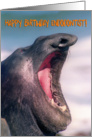 Happy Birthday Endodontist, sea elephant with wide opened mouth card