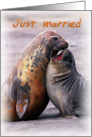 Just married, two funny seals card