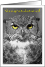 Congratulations, owl with yellow eyes card