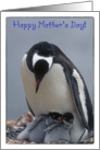 Happy Mother’s Day to our mother, two adorable baby penguins card