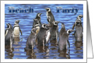 Beach Party, penguins in water card