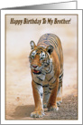 Happy Birthday To My Brother, Bengal tiger card