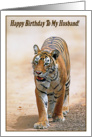 Happy Birthday To My Husband, Bengal tiger card