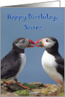 Happy Birthday To My Sister, two funny puffins card