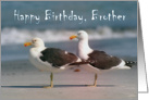 Happy Birthday, Brother, two gulls card