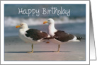 Happy Birthday, two gulls card