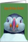 Happy Birthday Brother, Funny Puffin card