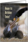 Happy 1st Birthday Twins , Blue-eyed Cormorant with two chicks card