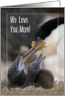 We love you, Mom , Blue-eyed Cormorant with two chicks card