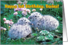 Happy 1st Birthday,Twins , two chicks in grass card