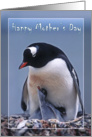 Happy Mother’s Day, Penguin with two chicks card