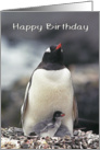 Happy Birthday from all of us, Penguin with two chicks card