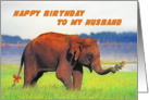 Happy birthday To My Husband, Elephant card