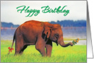 Happy birthday , Elephant with flowers card