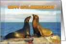 Happy 25th Anniversary, Two funny fur seals card