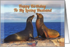 Happy Bithday,To My Loving Husband, Two funny fur seals card