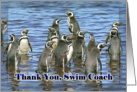 Thank You Swim Coach, Group of penguins in water card