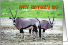 Happy Mother’s Day. Orix mother with baby card