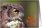 Happy Birthday, Owl profile card