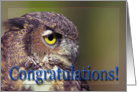 Graduation Congratulations, Owl profile card