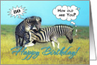 Happy 80th Birthday, Two funny zebras card