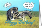 Happy 97th Birthday, Two funny zebras card