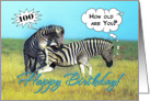 Happy 100th Birthday, Two funny zebras card