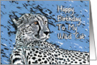 Happy Birthday To My Wild Cat, Portrait Cheetah card