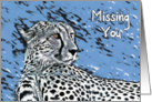 Missing You, Portrait Cheetah card