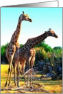 Two giraffes card