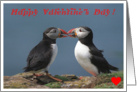 Happy Valentine’s Day, Kissing Puffins card