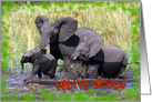 We’ve Moved Elephants card