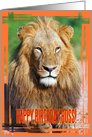 Happy birthday boss card featuring a lion card