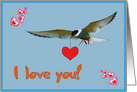 I love you card, sea gull with hearts card