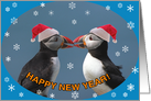Happy New Year, Two pufiins Santa hats card