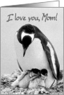 I love you Mom card