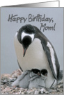 Happy Birthday Mom, Mother Penguin with Two Chicks card