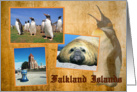 Falkland Islands card