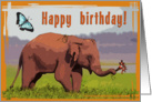 Happy birthday,Elephant with butterfly card