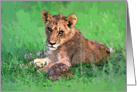 Happy birthday,lion cub with tortoise Card