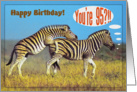 Happy 95th Birthday card,Two playing zebras card