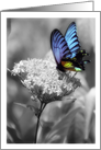 With deepest sympathy, Butterfly card