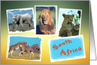 South Africa collage card