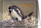 Happy birthday, Mom card, Penguin with chick card