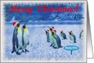 Merry Christmas card, Antarctic colony penguins with red claus hat card