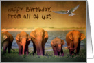 Happy birthday card, wildlife card