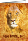 Happy Birthday, Boss, Lion Portrait card