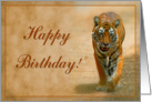 Happy Birthday card, Tiger card