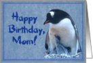 Happy birthday, Mom card, Penguin with two chicks card